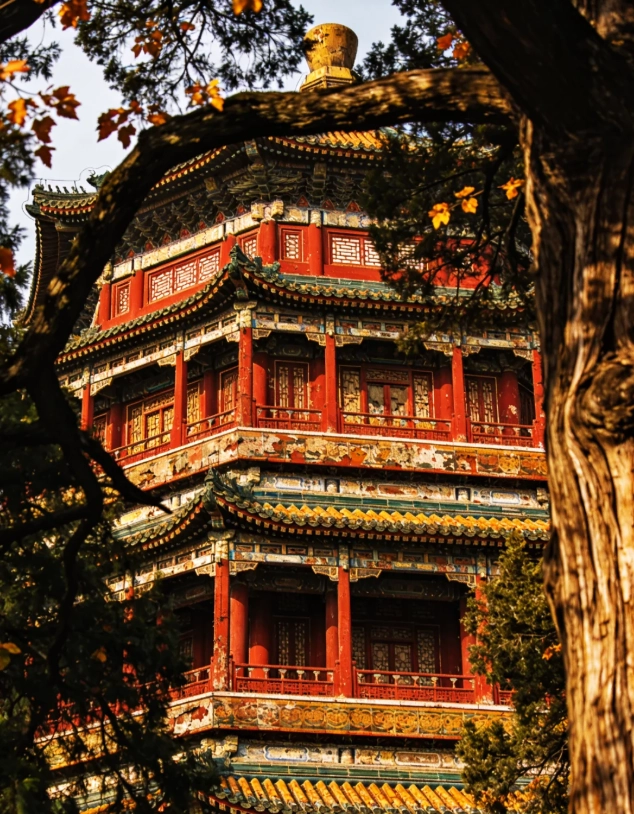 Longevity Hill Longevity Hill