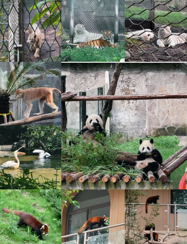 Chongqing attractions