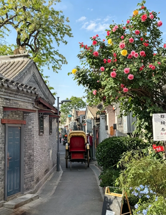 Beijing trip planner Beijing trip planner