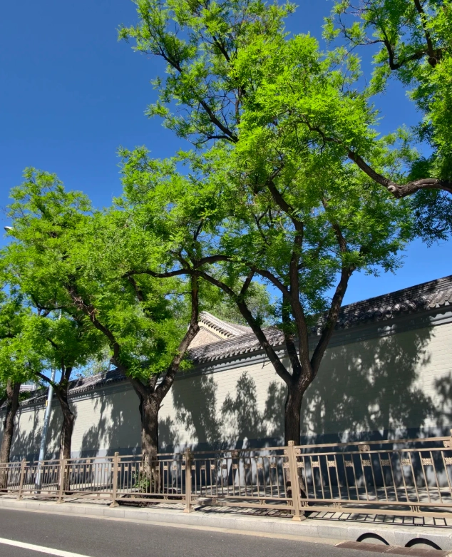 Beihai Park Beijing
