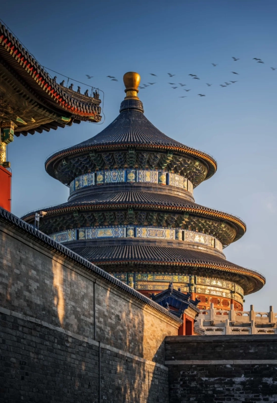 Summer Palace Summer Palace