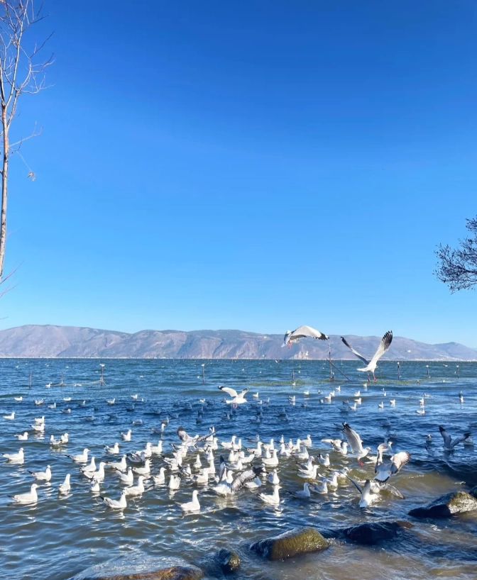 Yunnan travel Yunnan travel