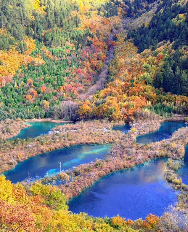 Jiuzhaigou Autumn Leaves: Best Dates & Insider Tips
