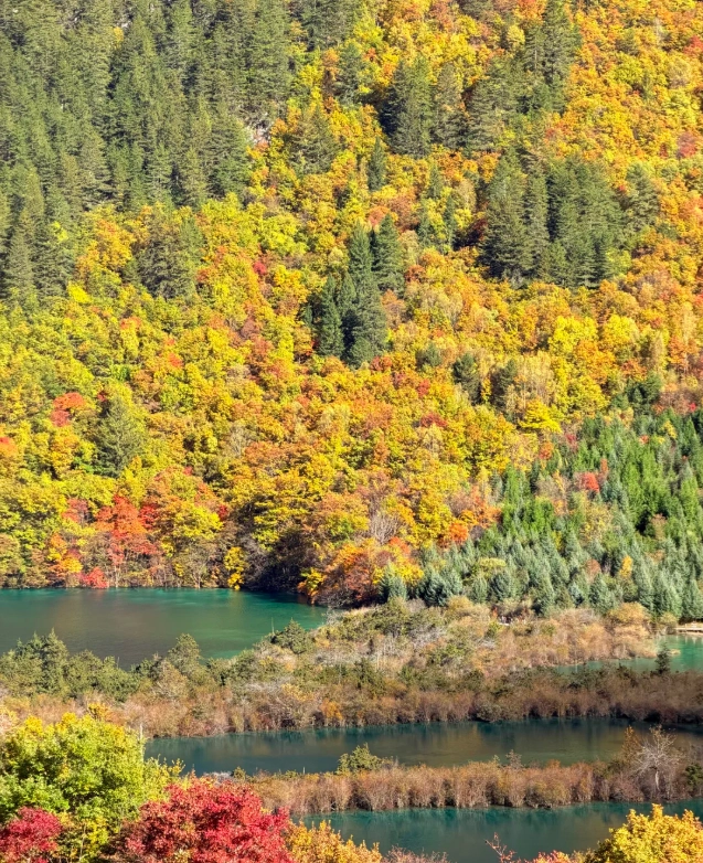 Travel photos of Aba Prefecture: Jiuzhaigou October