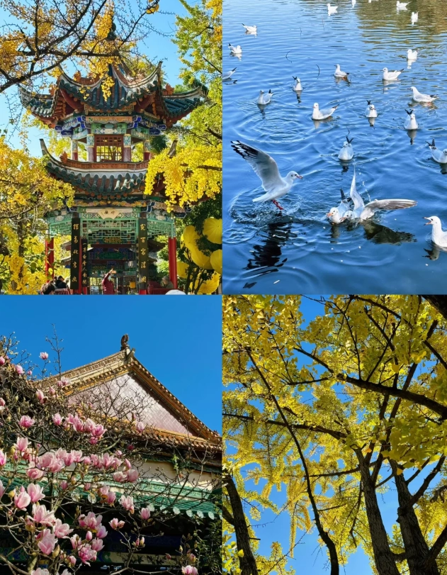 Yunnan tourism Yunnan tourism
