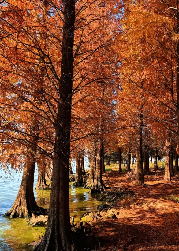 best time to visit Kunming