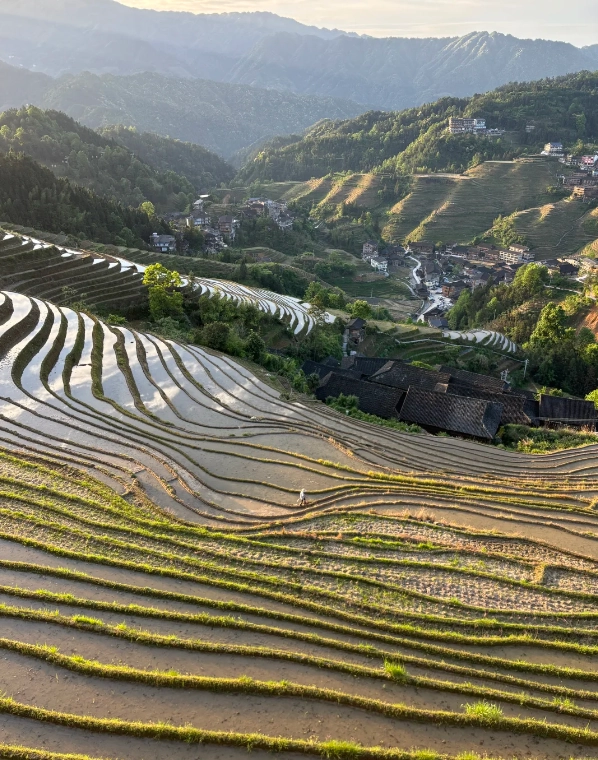 Guilin rice terraces Guilin rice terraces
