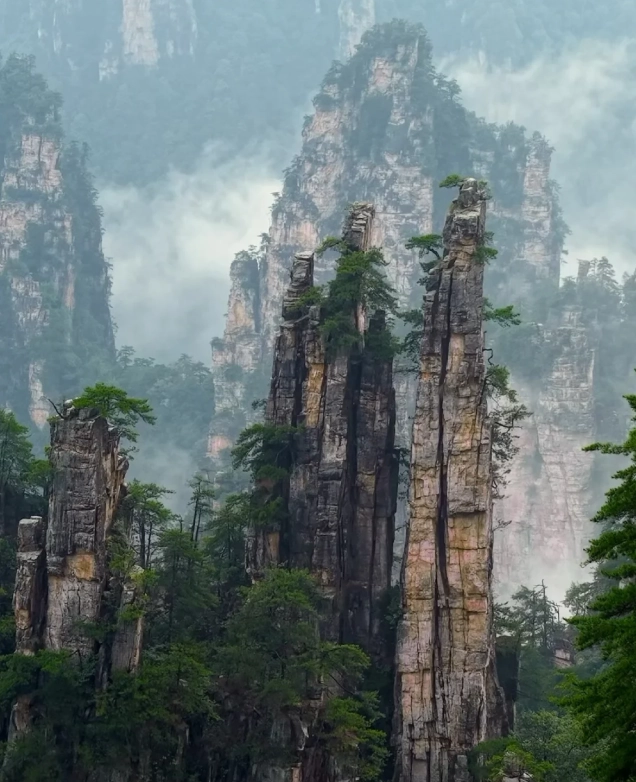 Zhangjiajie National Forest Park Zhangjiajie National Forest Park