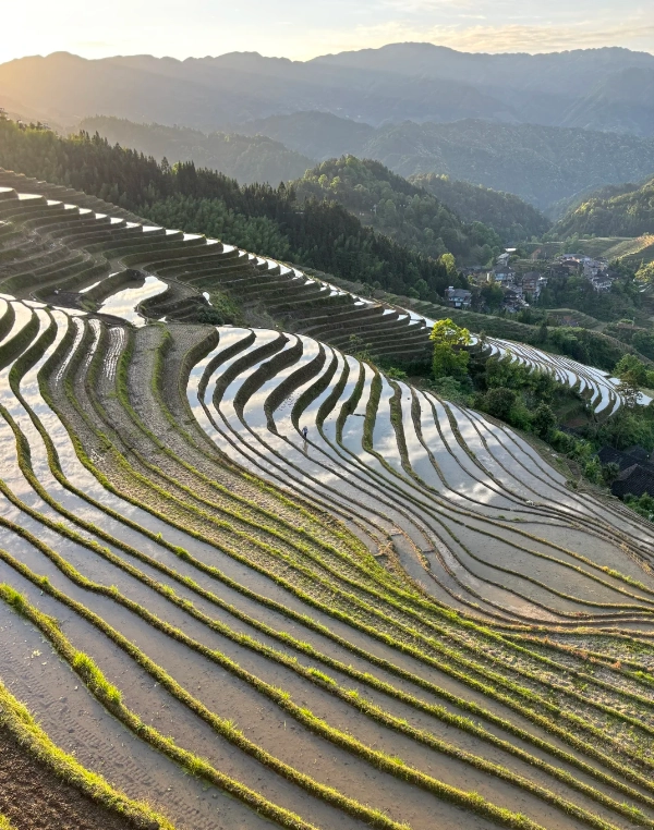 Longji photography season Longji photography season