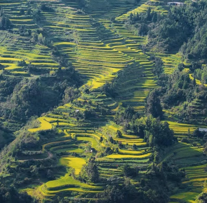 Longji Terraces irrigation season Longji Terraces irrigation season