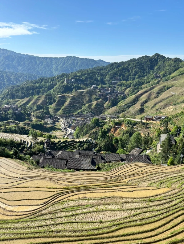 Longsheng travel guide Longsheng travel guide