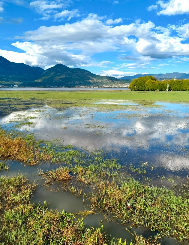 Photo of Old Town of Lijiang: Lijiang Old Town