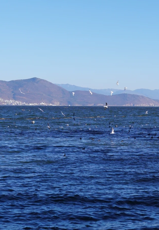 things to do in Dali