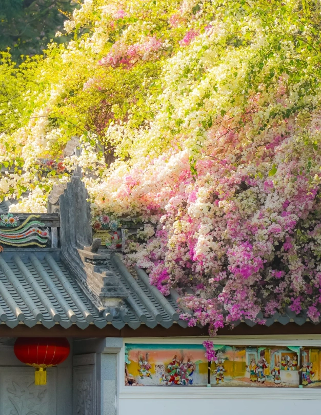 Best Time to Visit Shenzhen: Avoid Humidity & Crowds