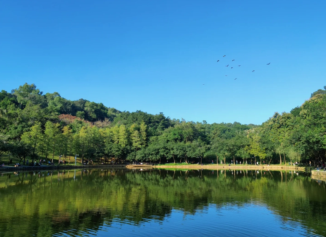 Shenzhen tourism Shenzhen tourism
