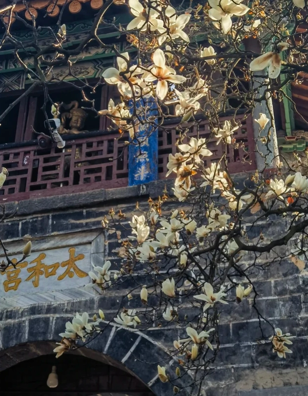 things to do in Kunming things to do in Kunming