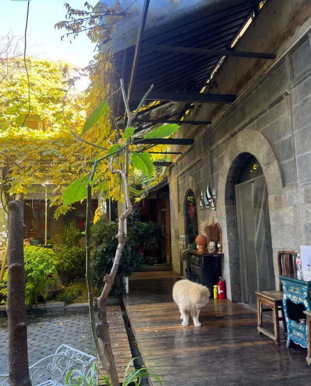 Dali accommodation Dali accommodation