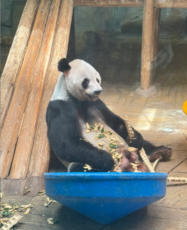 Shenzhen Safari Park tickets Shenzhen Safari Park tickets