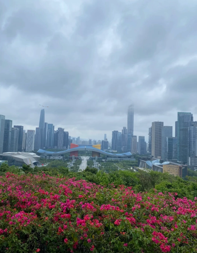 best places in Shenzhen best places in Shenzhen