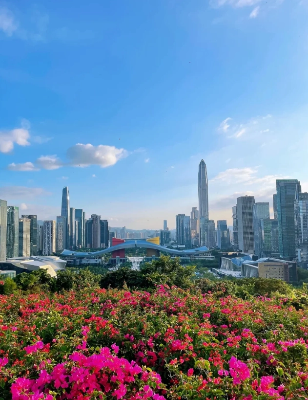 things to do Shenzhen things to do Shenzhen
