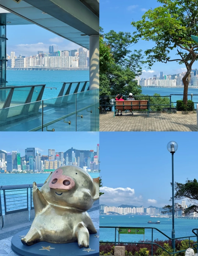 Hong Kong food recommendations Hong Kong food recommendations