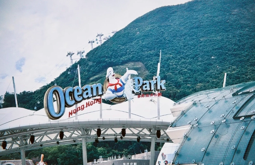 Is It Worth Going to Ocean Park Hong Kong?: Honest Pros & Cons