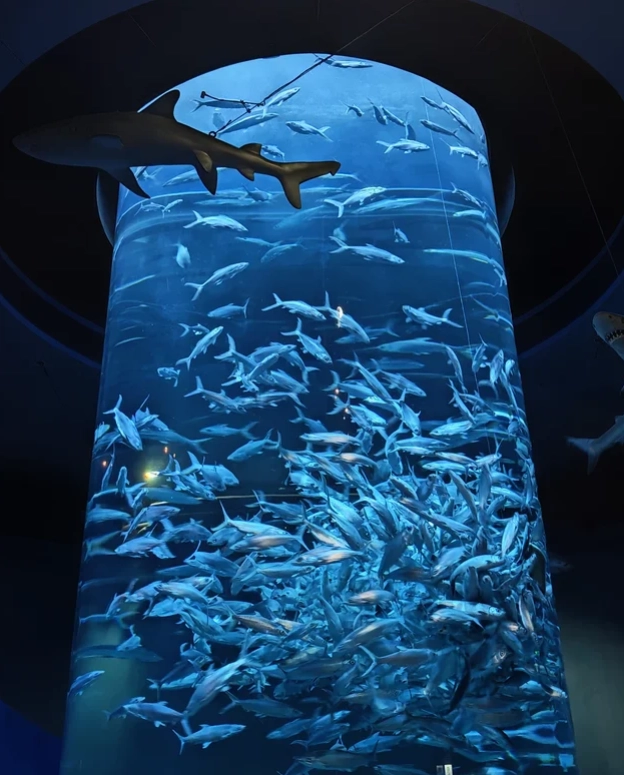 Ocean Park Hong Kong