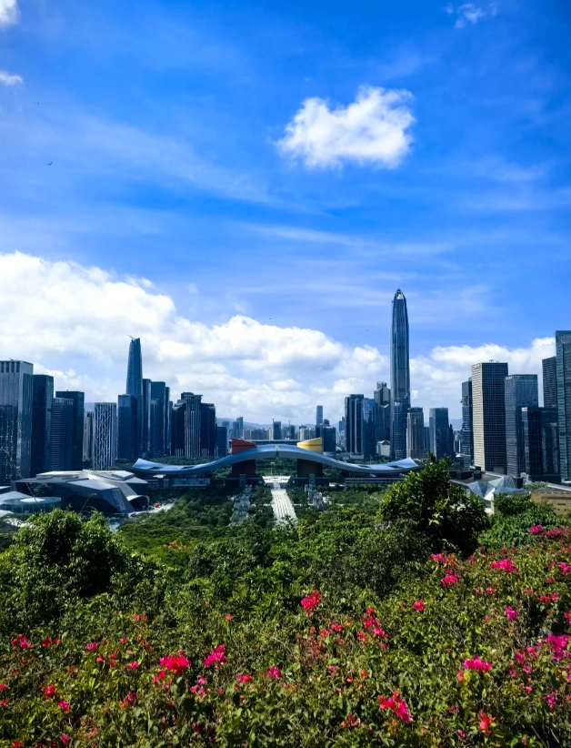 things to do in Shenzhen