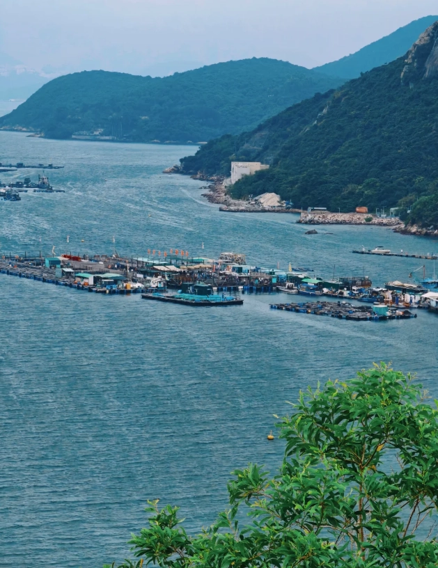 Hong Kong itinerary 5 days Hong Kong itinerary 5 days