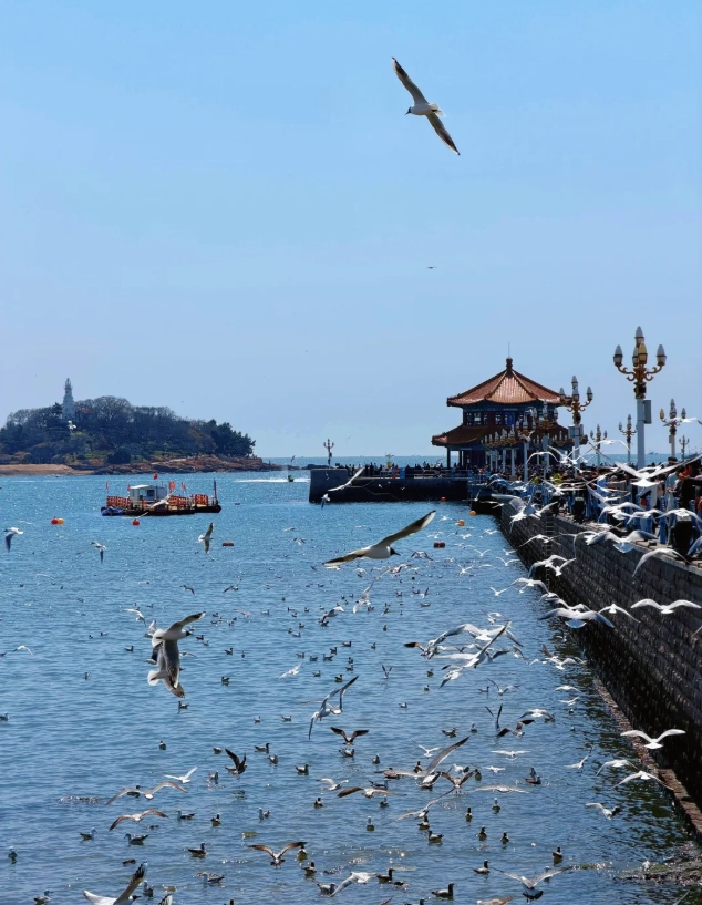 things to do in Qingdao