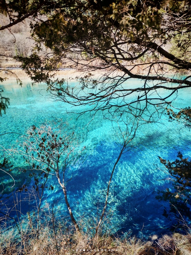 Jiuzhaigou internal transportation