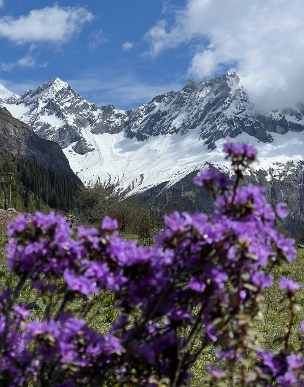 Siguang Mountain travel guide Siguang Mountain travel guide