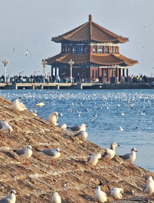Qingdao 3-Day Itinerary: Beer, Beach & German Architecture in 72 Hours
