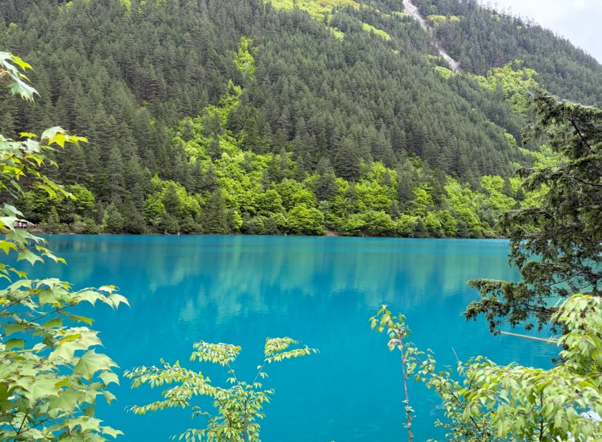 Top 5 Attractions in Aba Sichuan: Must-See Natural Wonders