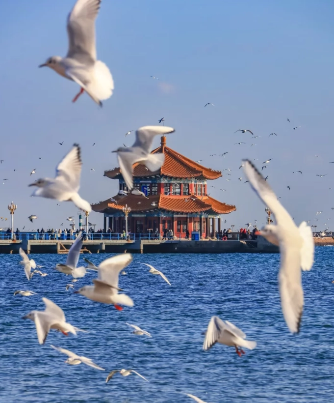 when to go to Qingdao when to go to Qingdao