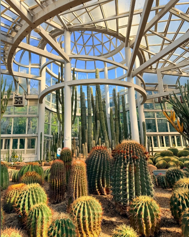 botanical garden China