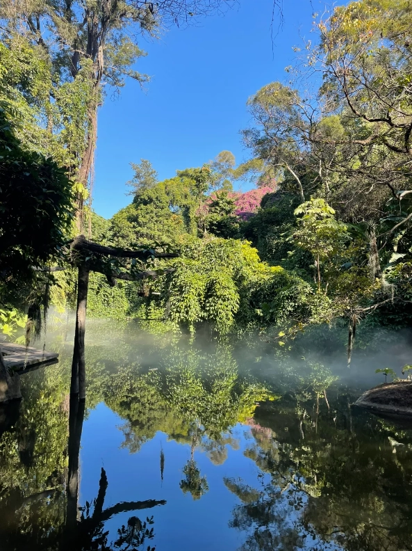 how to get to Xiamen Botanical Garden