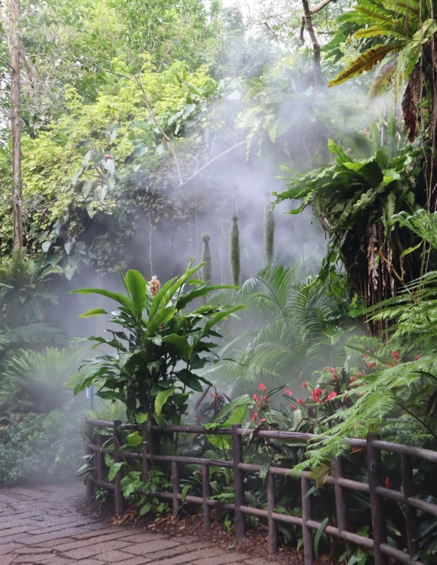 Xiamen Botanical Garden tickets Xiamen Botanical Garden tickets