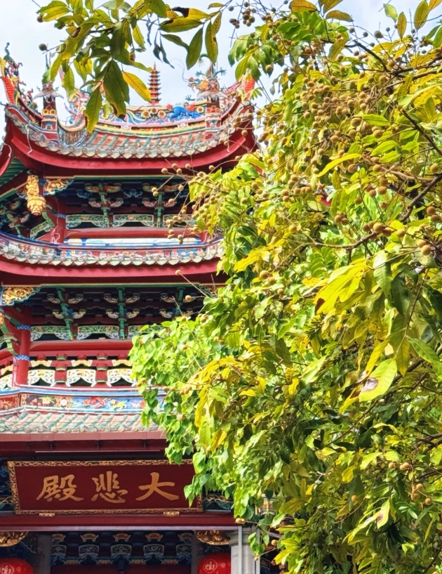 Xiamen day trip