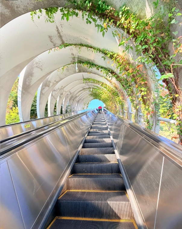 things to do in Xiamen