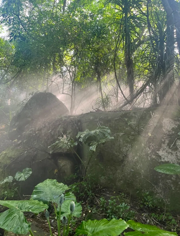 near Xiamen Botanical Garden places to stay