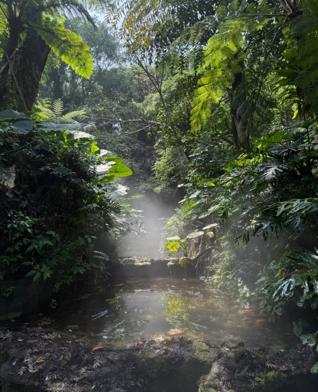 things to do in Xiamen Botanical Garden things to do in Xiamen Botanical Garden