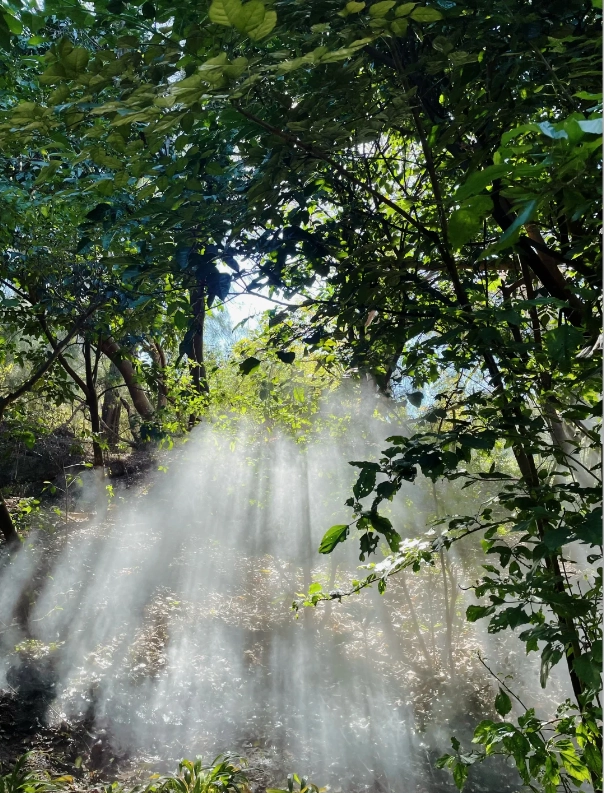 Xiamen botanical garden tickets