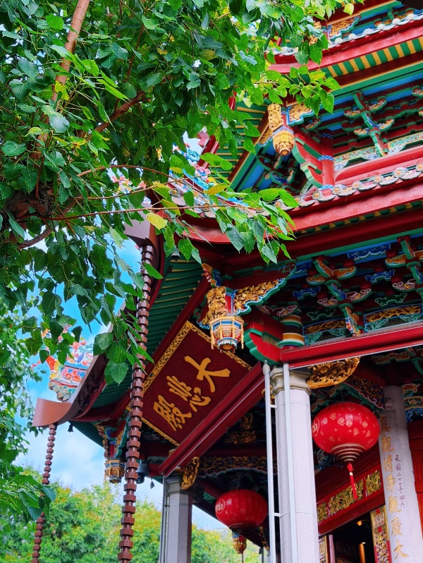 Photo of Nanputuo Temple: Nanputuo Temple guided tour