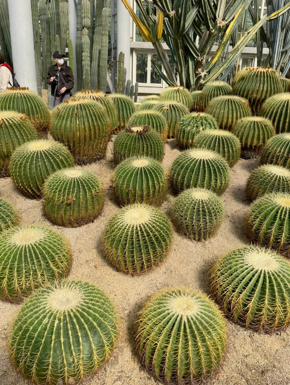 Xiamen Botanical Garden highlights