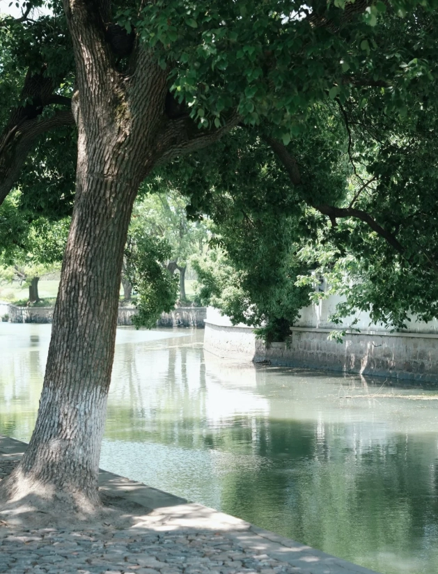 Travel photos of Suzhou: Tongli Water Town day trip from Shanghai