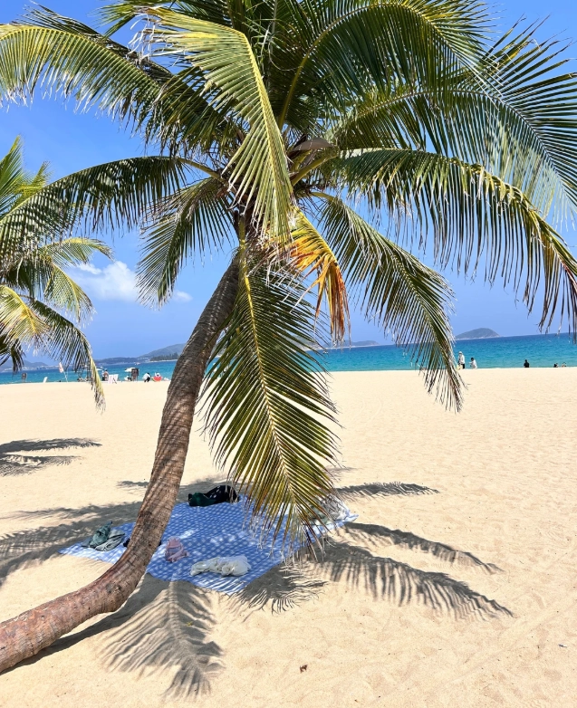 Is Yalong Bay Worth Visiting? 3 Reasons You'll Love It (and 1 You Won't)