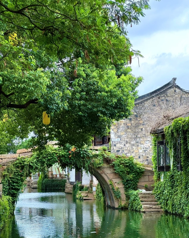 Travel photos of Suzhou: tongli attractions