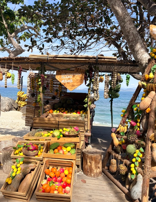 Wuzhizhou Island tips