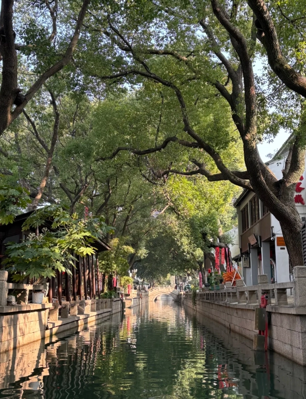 Photo of Tongli Water Town: tongli water town